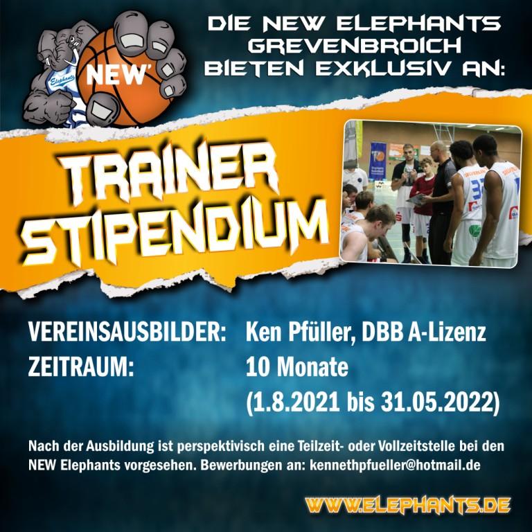 Trainer Stipendium klein