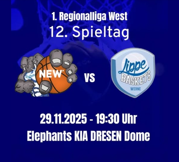 11 Spielvorschau